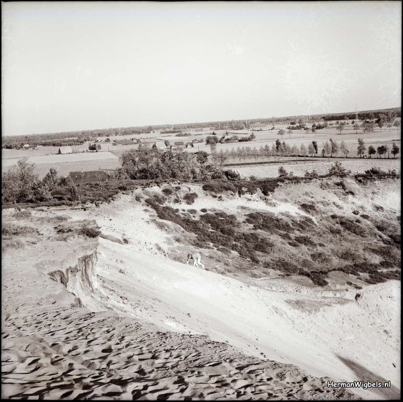 78a181df764d4333bc2e94b4aa03b5ae.max-1600x800-1