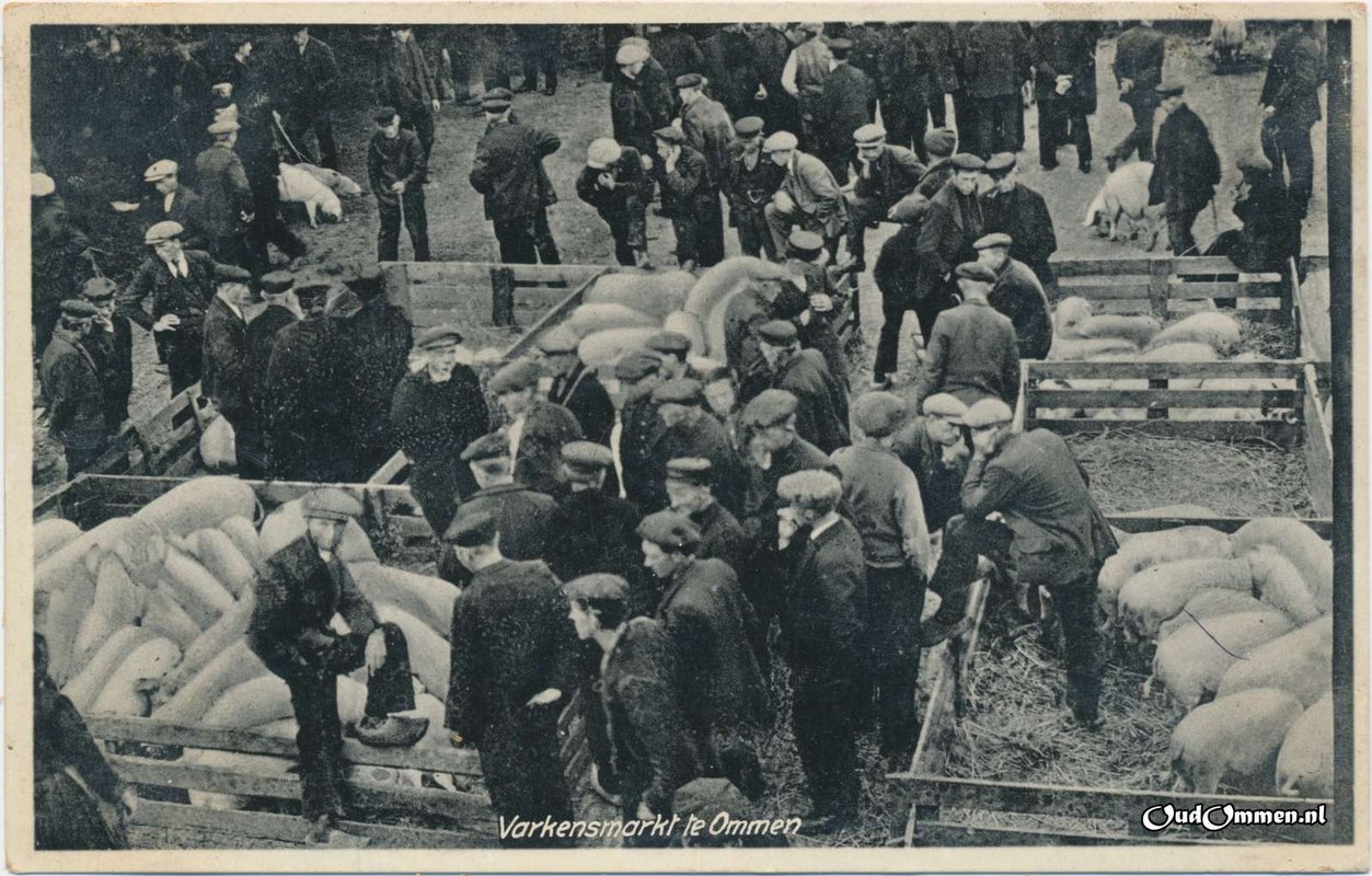 er0102.max-1600x800-1