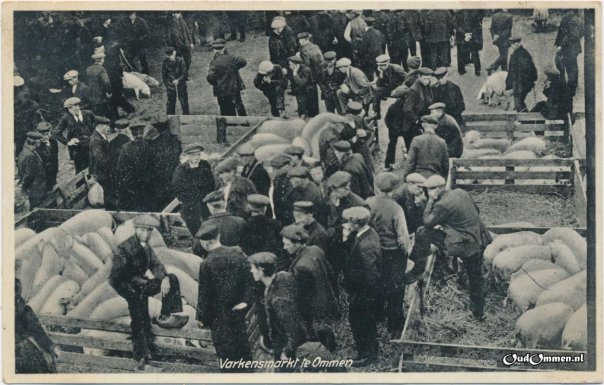 er0102.max-1600x800-1